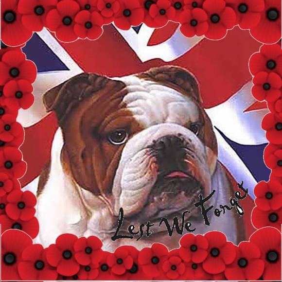 Meet your Posher, Dave - Picture 1 of 1